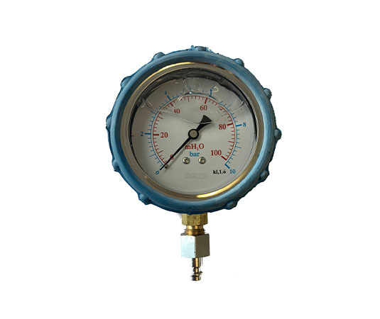 Pressure Gauge